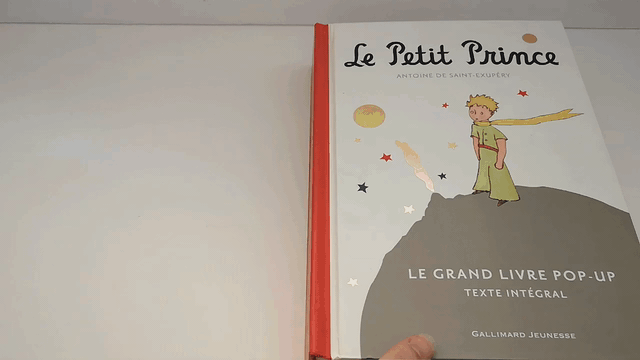Le Petit Prince Pop-up