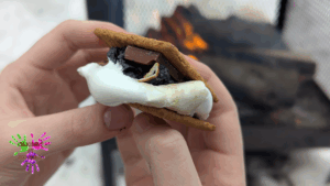 S&rsquo;mores