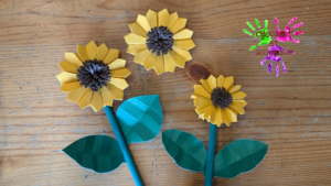 Tournesol en papier