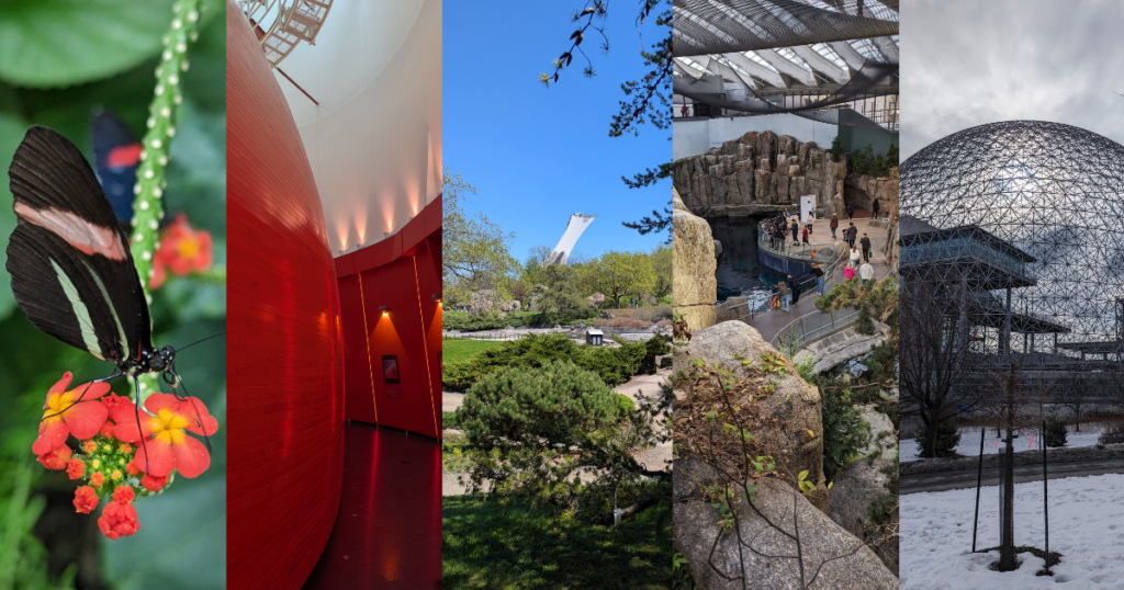 Espace pour la vie à Montréal: 5 lieux à découvrir en famille