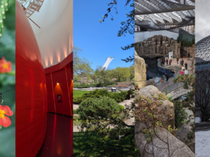 Espace pour la vie à Montréal: 5 lieux à découvrir en famille