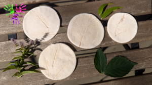 Médaillons en pâte à sel avec empreintes de fleurs