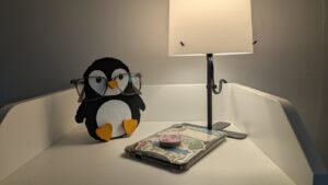 Pingouin porte-lunettes en carton