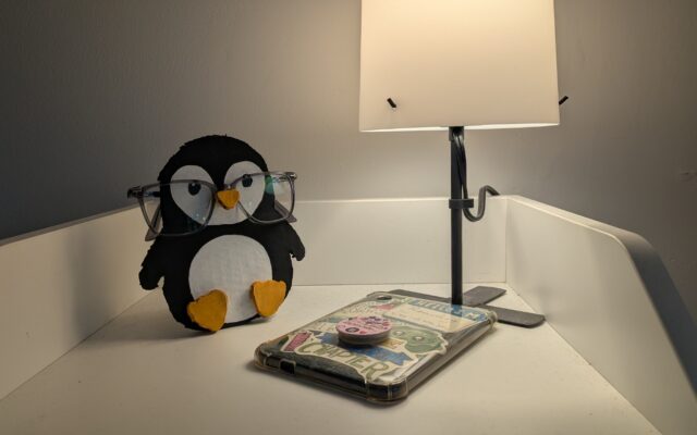 Porte-lunette pingouin