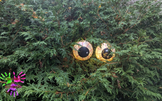 Yeux lumineux dans l&rsquo;arbre