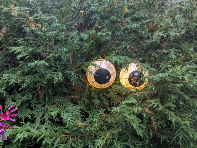 DIY Halloween : fabriquer de gros yeux lumineux à accrocher dans un arbre
